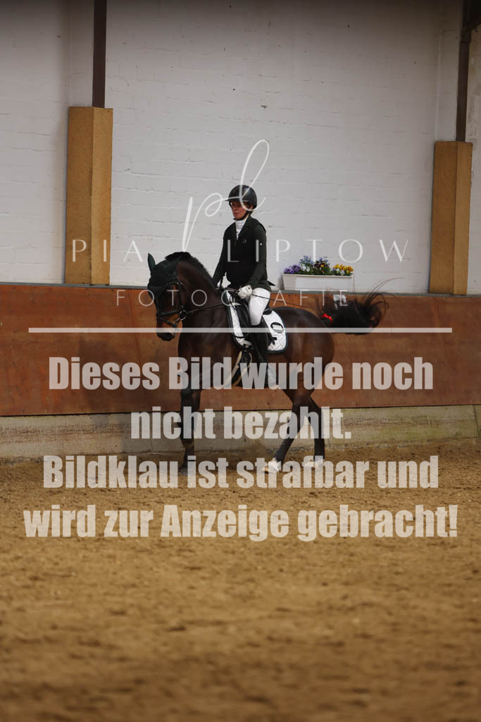 IMGM0707 | pl-fotografie