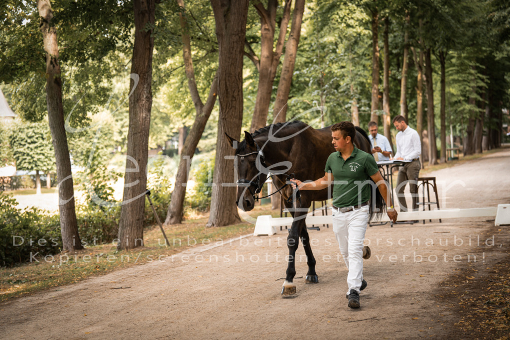 FrPfM00041 | Leoni Ertmer Photography - Realisiert mit Pictrs.com