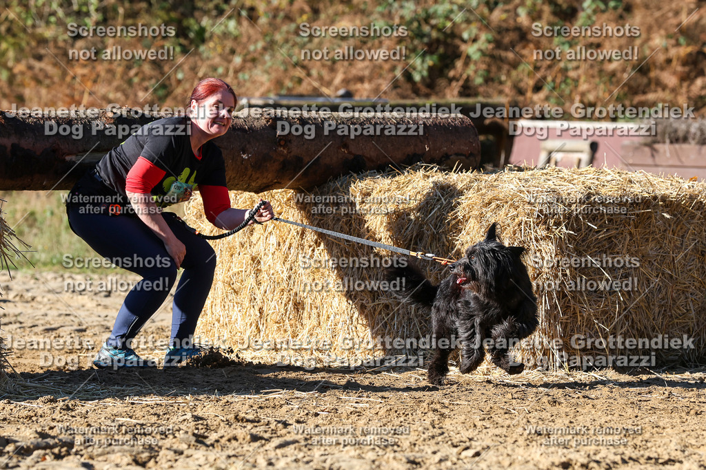 Dog Paparazzi - Strongdog 10-25-2261 | Dog Paparazzi Jeanette Grottendiek Fotografie & Videografie - Realisiert mit Pictrs.com