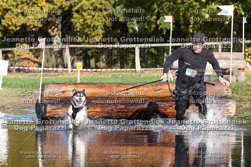 Dog Paparazzi - Strongdog 10-25-8685 | Dog Paparazzi Jeanette Grottendiek Fotografie & Videografie - Realisiert mit Pictrs.com