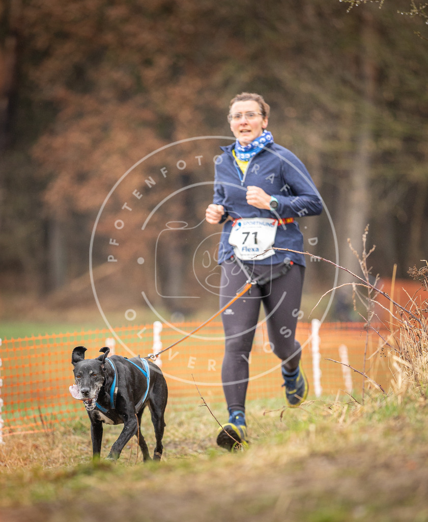 DV3A0217 | Hundefotografie, Tierfotograf, Pfotenfotografie, Fotoshooting Hund, Hunde Portrait, Hundesport, Hundeportraits, Heideshooting, Hunde, Sportfotograf, Hundefotograf, Turnierhundsport, THS,  - Realisiert mit Pictrs.com