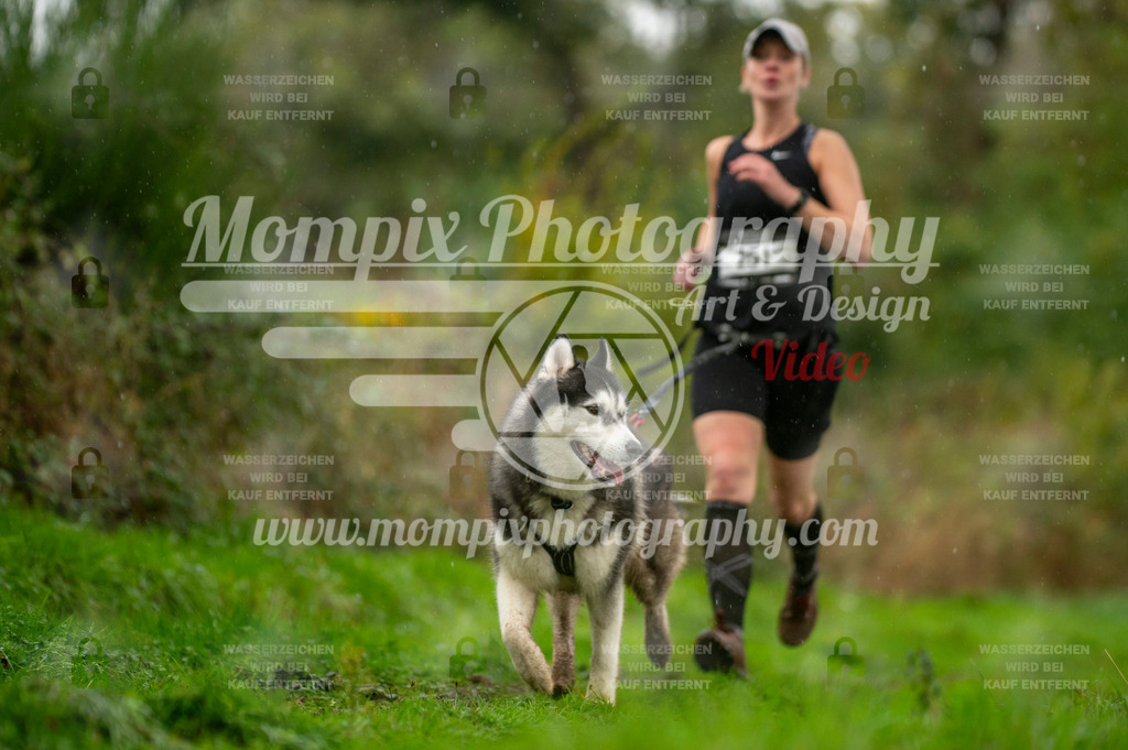 TSB_2023_E6_Canicross-180 | PayLife