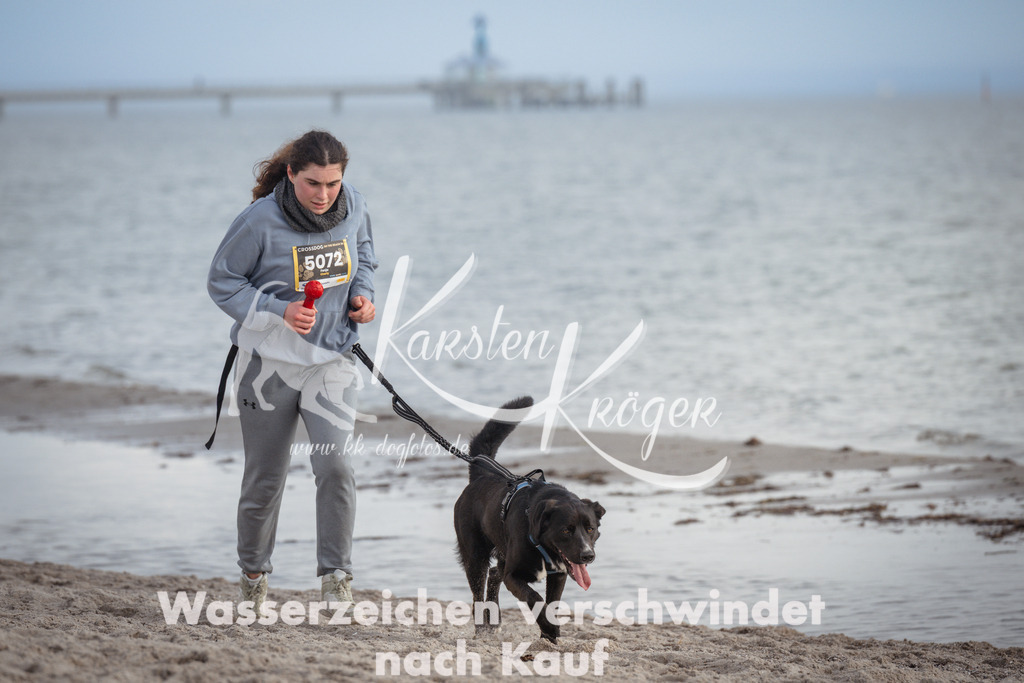 1230_ZZ96922 | kk-dogfotos