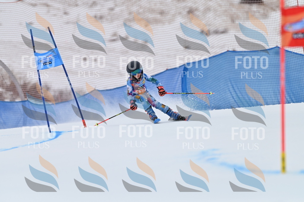 BGV_0672 | holidayphoto