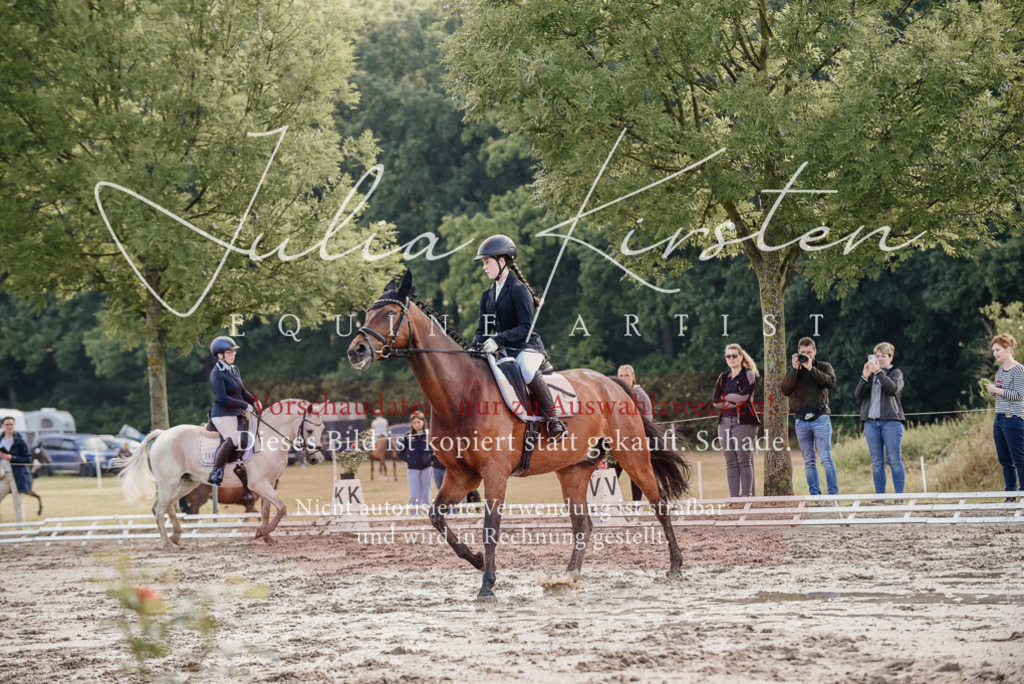 DSC_8016 | Pferde- und Turnierfotografie in Westsachsen. Pferdeportraits, Auftragszeichnungen und intuitive Kunst.