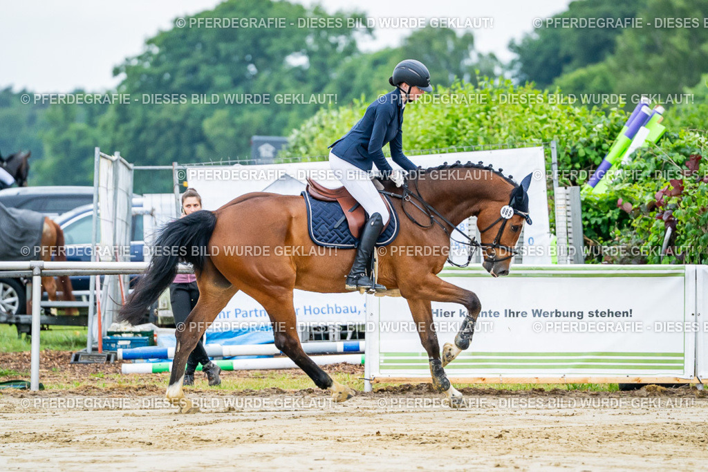 DSC02096 | Pferdegrafie