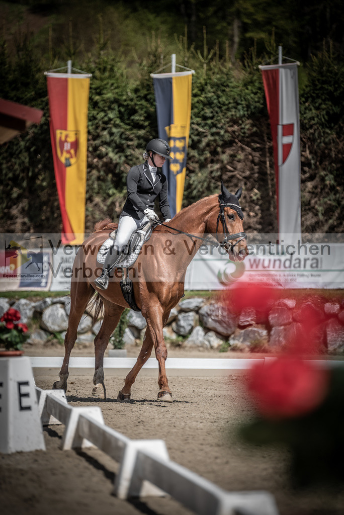DSC_0728 | equestrian-live-com