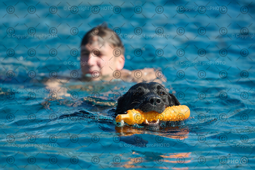 113_202509_4Hundebadetag_NZ9_2472 | proPHOTO - Realisiert mit Pictrs.com
