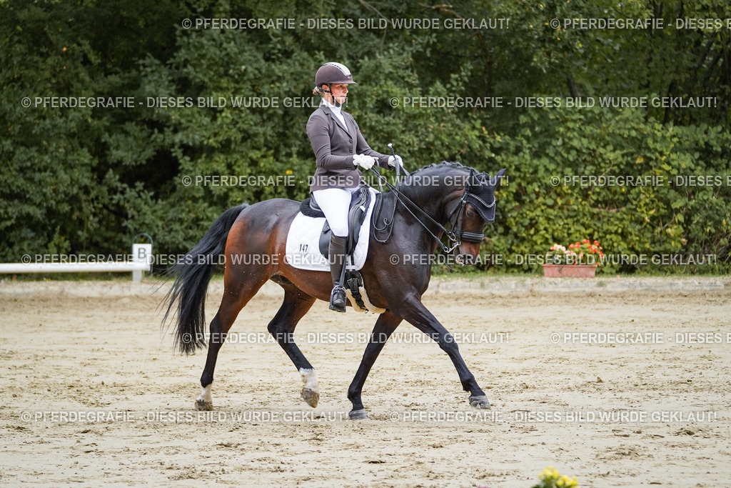 DSC08726 | Pferdegrafie