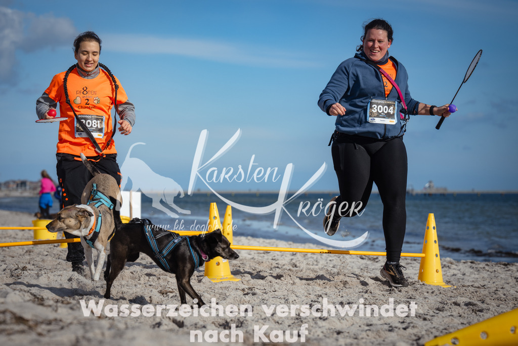 1339_ZZ92446 | kk-dogfotos