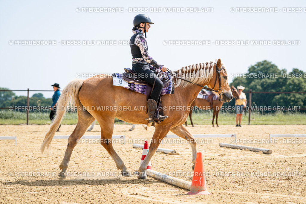 DSC00187 | Pferdegrafie