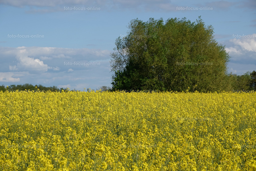 rapps-heute_21 | foto-focus-online