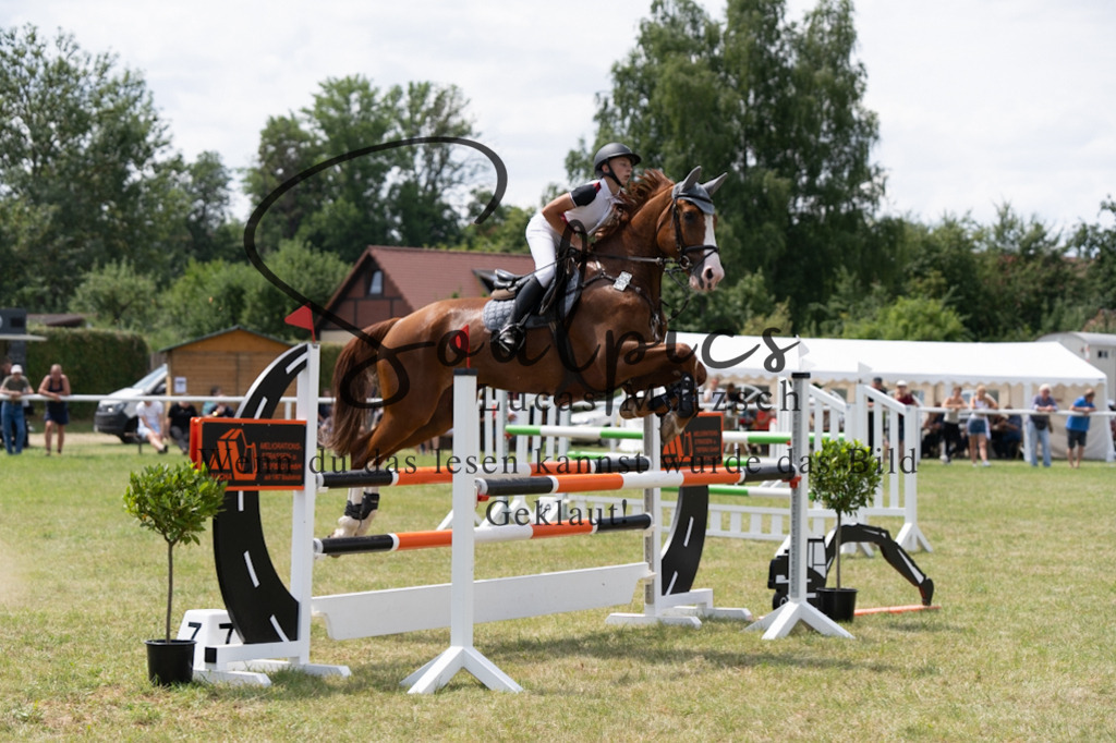 A7V01941 | Pferdefotograf