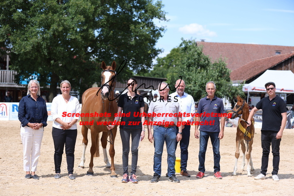 Fohlenschau_Schwäbisch_Hall_springbetonte_Fohlen_SIEGERFOHLEN_KN 22_12 | lmwpictures - Realisiert mit Pictrs.com