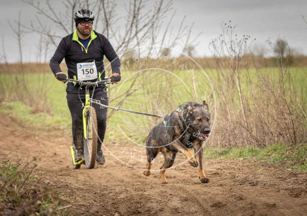 DV3A1531 | Hundefotografie, Tierfotograf, Pfotenfotografie, Fotoshooting Hund, Hunde Portrait, Hundesport, Hundeportraits, Heideshooting, Hunde, Sportfotograf, Hundefotograf, Turnierhundsport, THS,  - Realisiert mit Pictrs.com