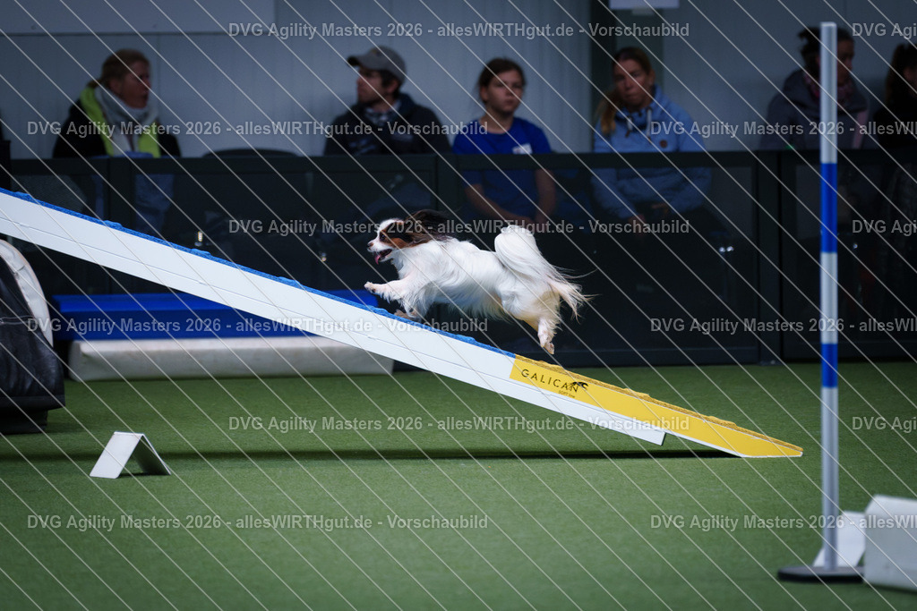 allesWIRTHgut_Tierfotografie-DVG_Agility_Masters_2026-12_19-7R502206 | Professionelle Tierfotografie in Mönchengladbach von Daniel Wirth (allesWIRTHgut). Liebevolle & natürliche Bilder von Hunden & Katzen für unvergessliche Erinnerungen.