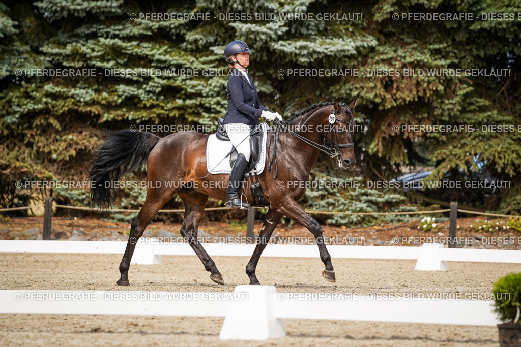 DSC05904 | Pferdegrafie