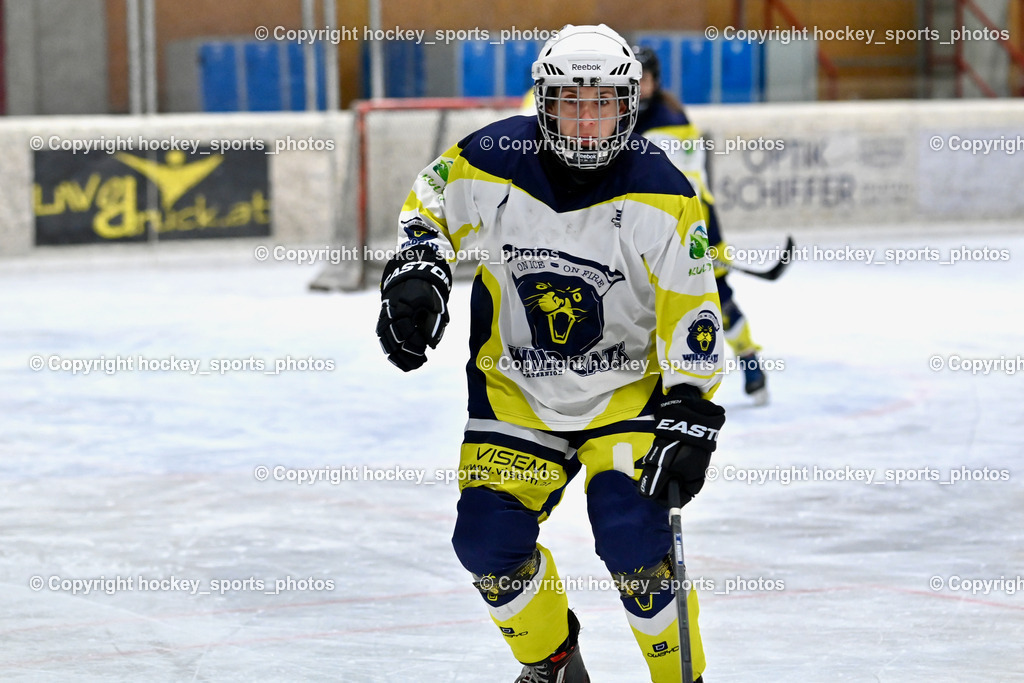 Wildcats Paternion vs. Lady Hawks  | #4 Oberzaucher Christina WILDCATS PATERNION, Wildcats Paternion vs. Lady Hawks , Wildcats Paternion vs. Lady Hawks  am 27.01.2025 in Spittal an der Drau (Eissportzentrum Spittal), Austria, (Photo by Bernd Stefan)