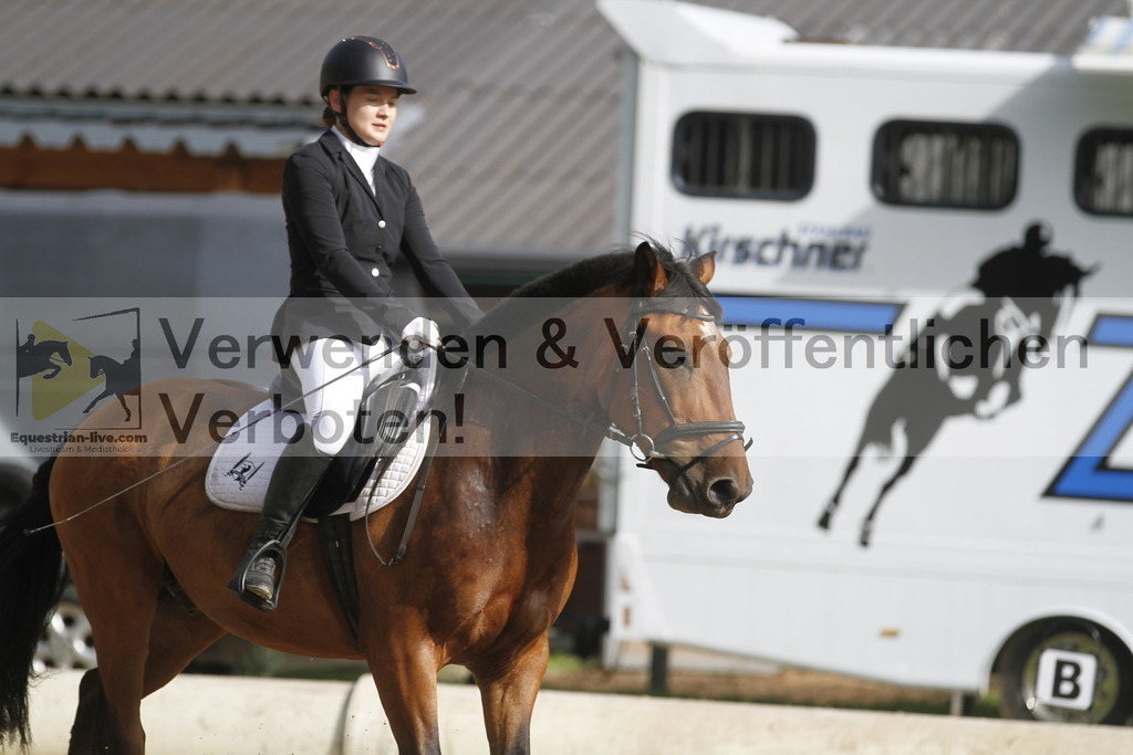_MG_0284 | equestrian-live-com
