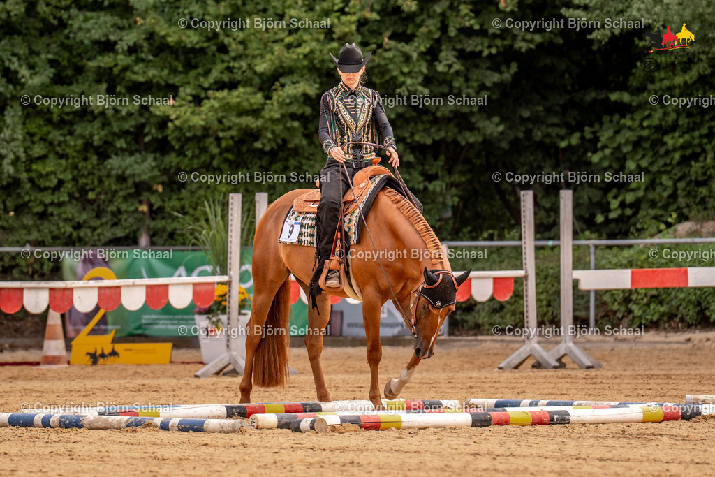 LMS07711 | BS-foto