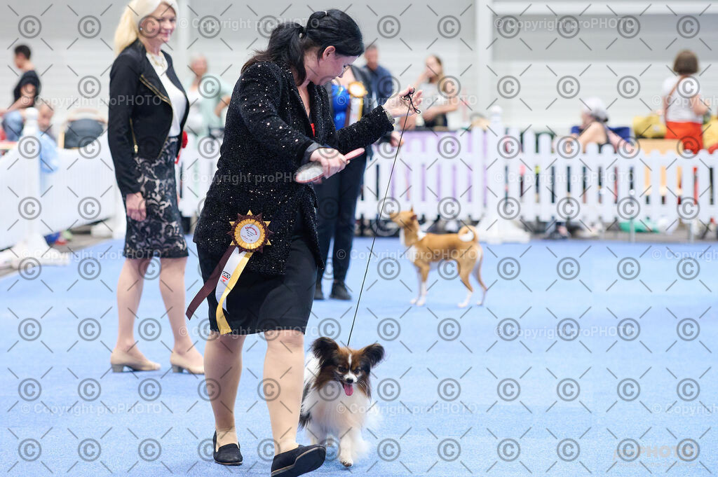 202406_ÖKV-IHA-Tulln24_DSC_4885 | proPHOTO - Realisiert mit Pictrs.com