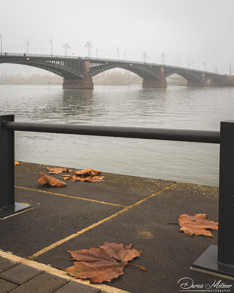 Die Theodor-Heuss-Brücke zwischen Mainz und Wiesbaden | Die Theodor-Heuss-Brücke zwischen Mainz und Wiesbaden