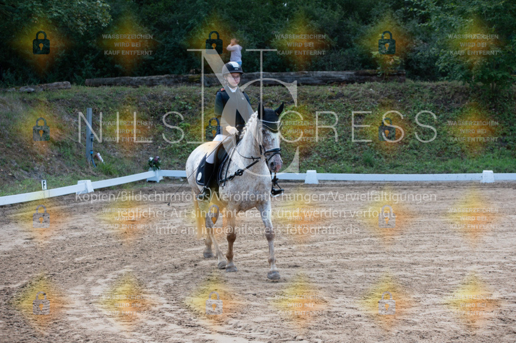 DSC_9457 | Nils Cress - Fotografie - Realisiert mit Pictrs.com