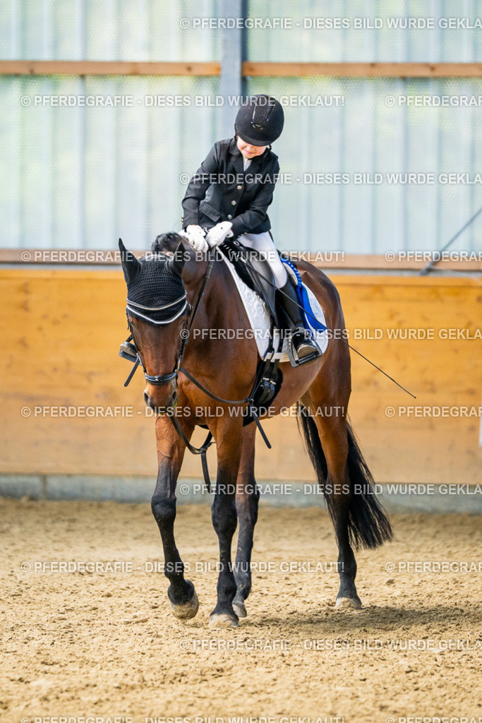 DSC02777 | Pferdegrafie