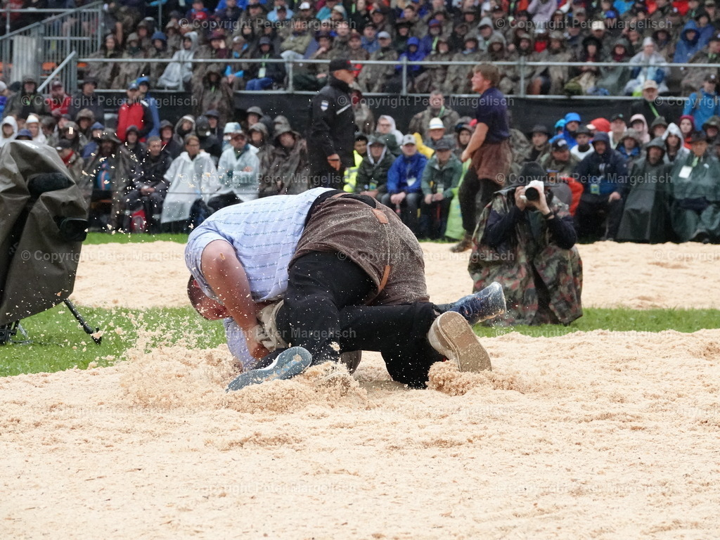 DSC07925 | Schwingen - Realisiert mit Pictrs.com