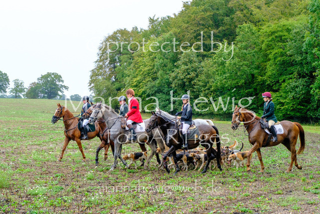 Jagd Perdoel 26 Fuji-9775_MarinaHewig | Fotografie, FotoArt, PferdesportArt, Pferdesportfotografie, Landschaftsfotografie, Reisefotografie, Reise, Pferde - Realisiert mit Pictrs.com
