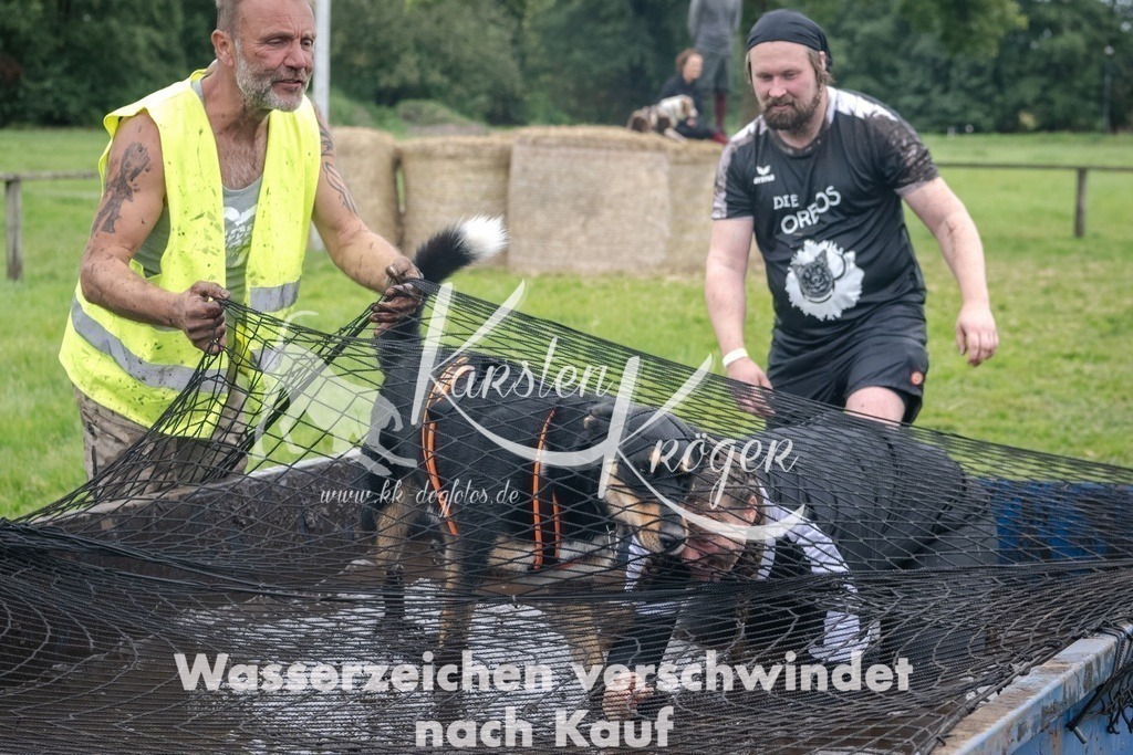 _ZZ93311 | kk-dogfotos