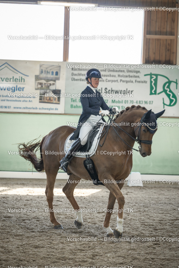 _D5A9621 | Emotionale Pferde- & People-Fotografie rund um Heidelberg, Leimen & Umgebung. Natürliche Fotos von Pferd, Mensch & Familie. Jetzt Termin sichern!