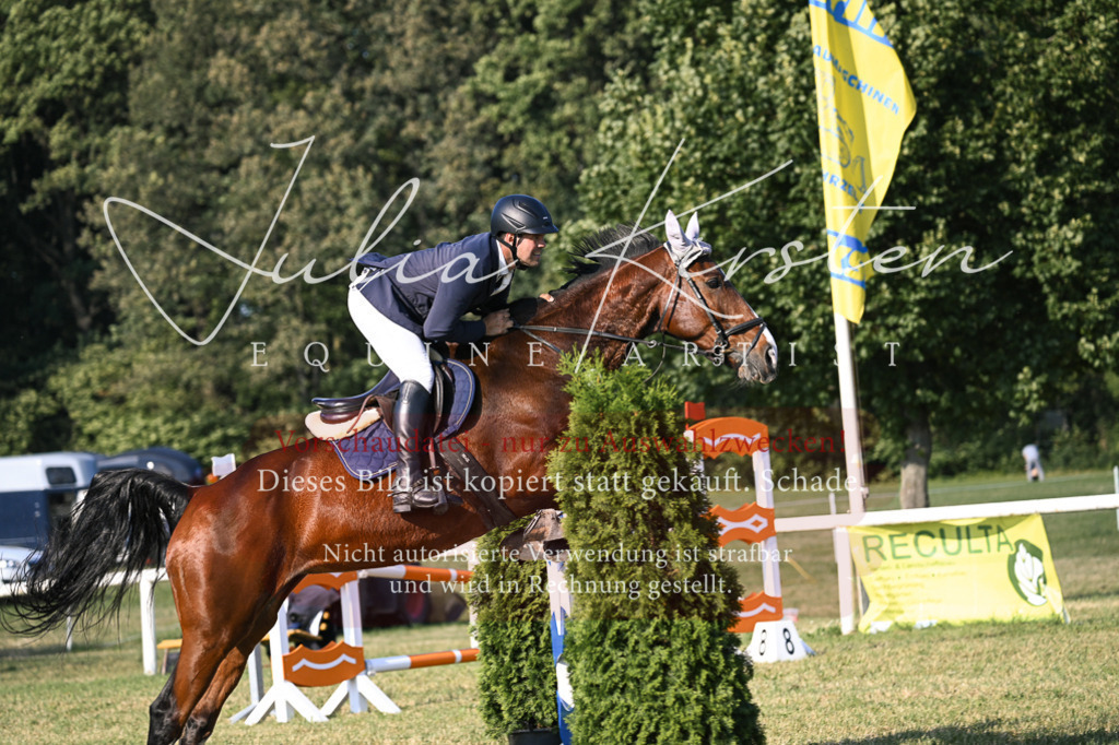 DSC_1630 | Pferde- und Turnierfotografie in Westsachsen. Pferdeportraits, Auftragszeichnungen und intuitive Kunst.