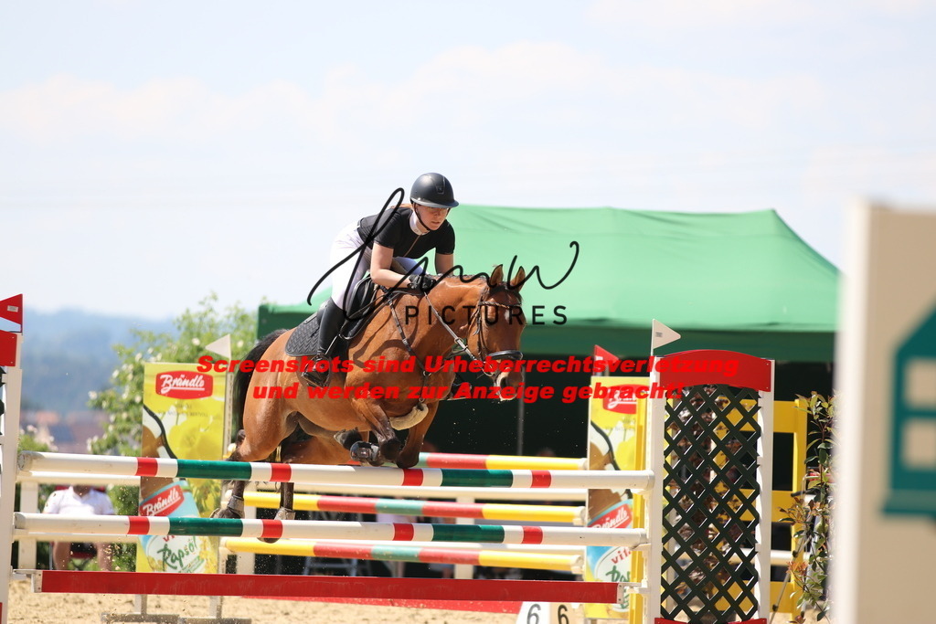 IMG_2586 | lmwpictures - Realisiert mit Pictrs.com