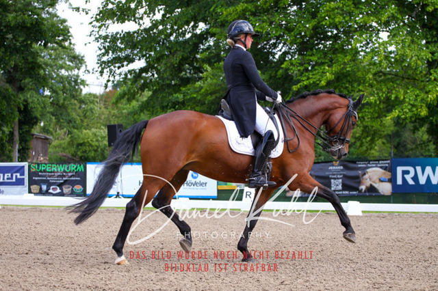DKP41626 | Turnierfotos kaufen im Webshop von Daniel Kuhl Photography – entdecke professionelle Reitsportfotos aus Turnieren & Events. Hochwertige Turnierbilder online bestellen & sichern. Jetzt Fotos von Reitsportturnieren kaufen!