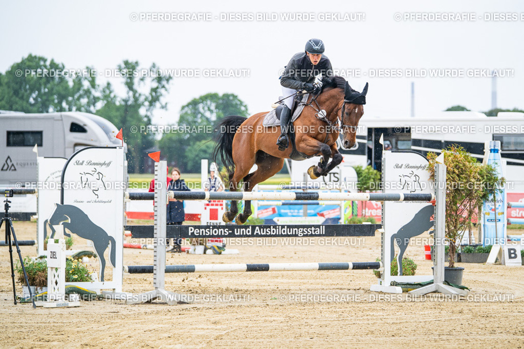 DSC08821 | Pferdegrafie