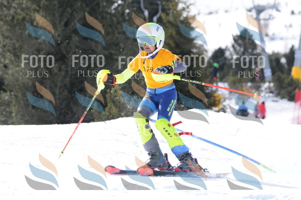 C7426 | holidayphoto