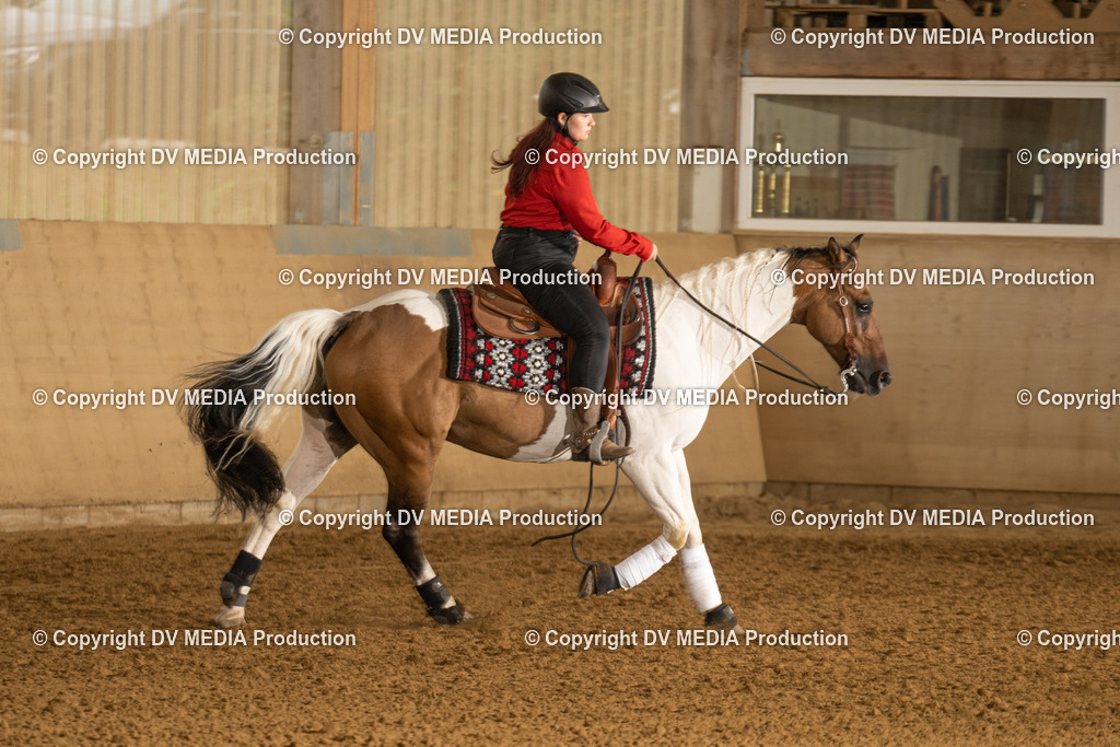 LAU00692 | dv-media-shop - Realisiert mit Pictrs.com