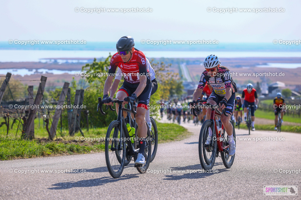 TRA_0934 | Neusiedlersee Radmarathon 2026@sportshot_your_pictrs #yourpictures#roadtowm2029 #nrm #neusiedlerseeradmarathon #neusiedlersee #neusiedlerseetourismus #burgenland #mörbisch #nrm26 #burgenlandtourismus #voglundco #poweredbyburgenlandtourismus #radsport #rad #marathon #ucigranfondo #visitburgenland #ucigranfondoworldseries