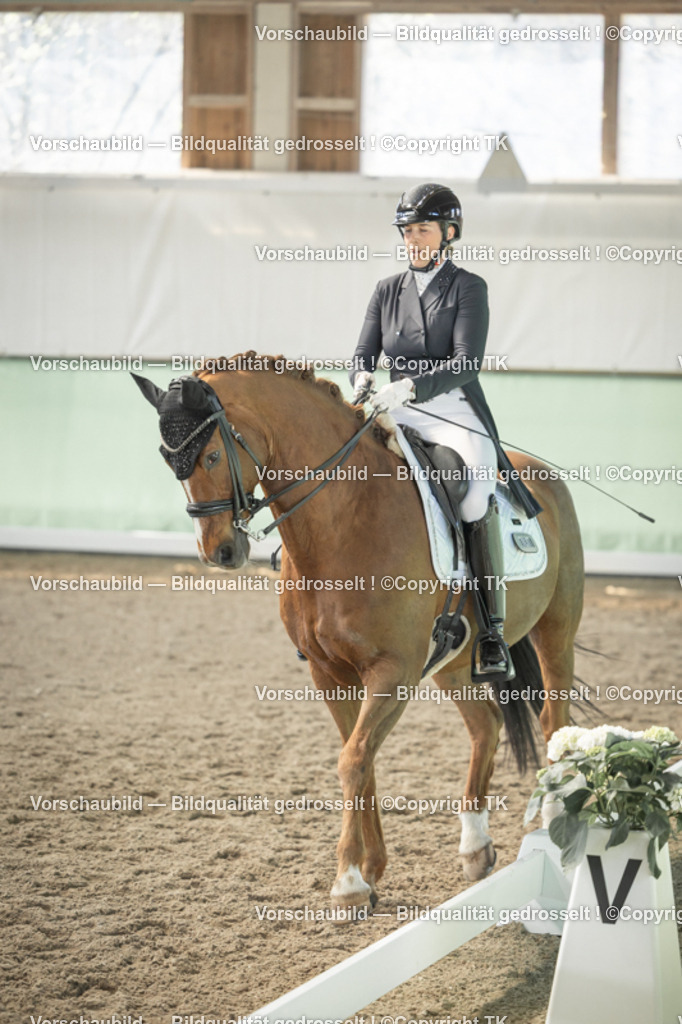 _D5A2422 | Emotionale Pferde- & People-Fotografie rund um Heidelberg, Leimen & Umgebung. Natürliche Fotos von Pferd, Mensch & Familie. Jetzt Termin sichern!