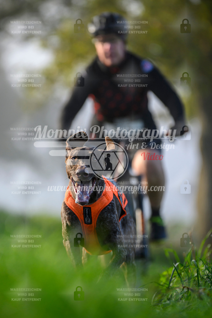 MompixPhotography_20TSB_E3_Bike-134 | PayLife