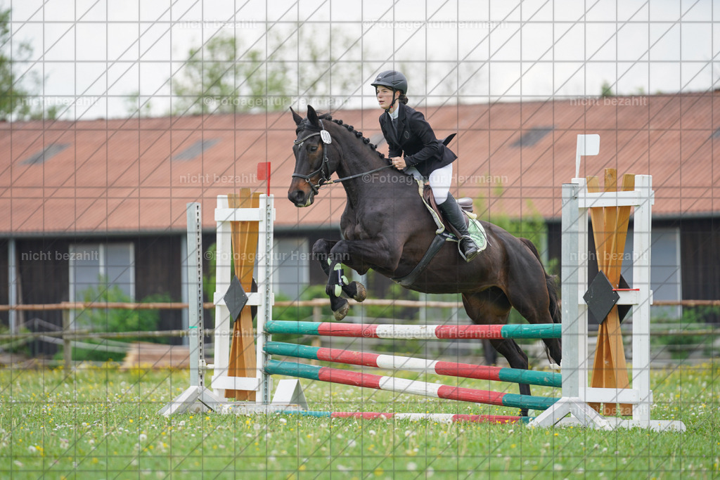 20240509-FAH02586 | Turnierbilder der Turnierfotografen Bayern, Pferdesport Fotografie, Reitsportbilder, Turnier Landberg am Lech, Turnierbilder bayern, Fotoagentur Herrmann