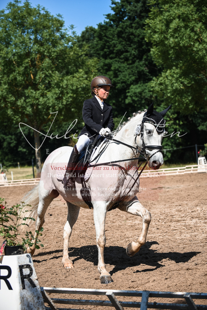 DSC_3627 | Pferde- und Turnierfotografie in Westsachsen. Pferdeportraits, Auftragszeichnungen und intuitive Kunst.