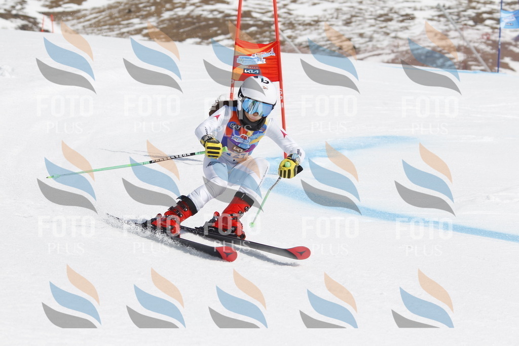 _U3G1495 | holidayphoto