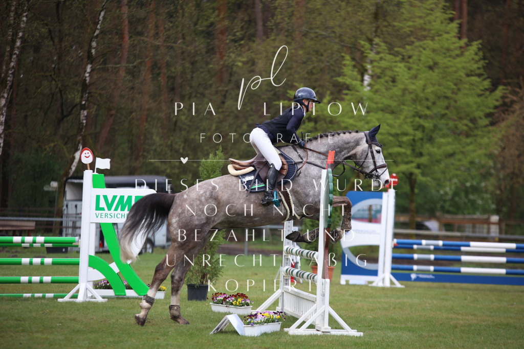 IMGT3234 | pl-fotografie