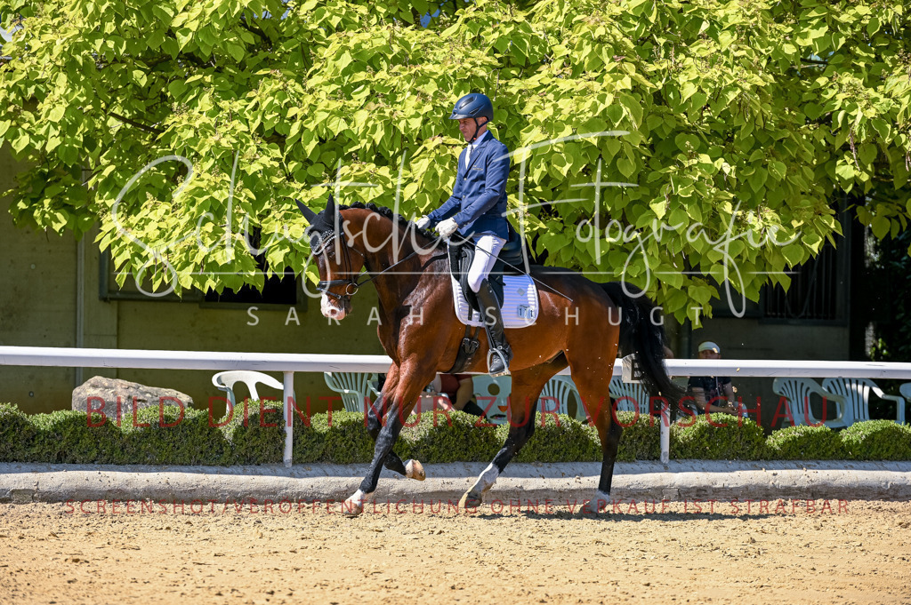 Schugtsche-Aluta25-50.Dressurpferdeprf.L-48 | Schugtsche Fotografie - Realisiert mit Pictrs.com