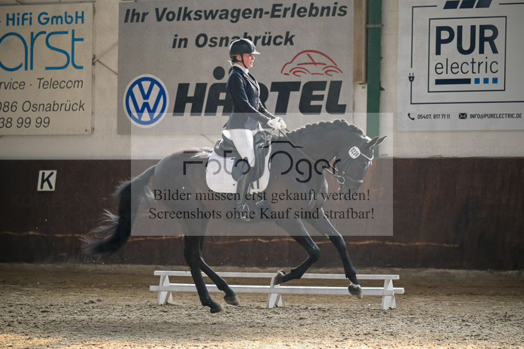Reitturnier Voxtrup | Entdecke hochwertige Reitturnierfotos von Foto Oger. Professionell, emotional und authentisch – jetzt Lieblingsmomente im Shop bestellen.Deutschlandweite Turnierfotografie. - Realisiert mit Pictrs.com