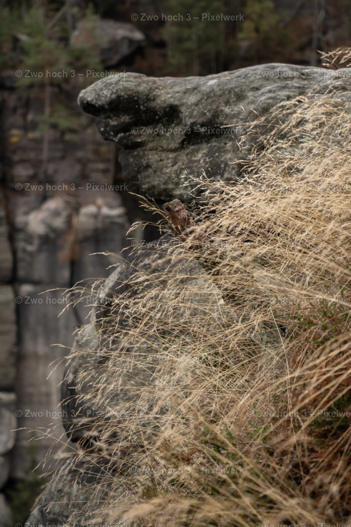 Frienstein_Idagrotte_Gras_Felsen_Felswand | 2022-09-02_Waldbrandgebiete_2 - Realisiert mit Pictrs.com