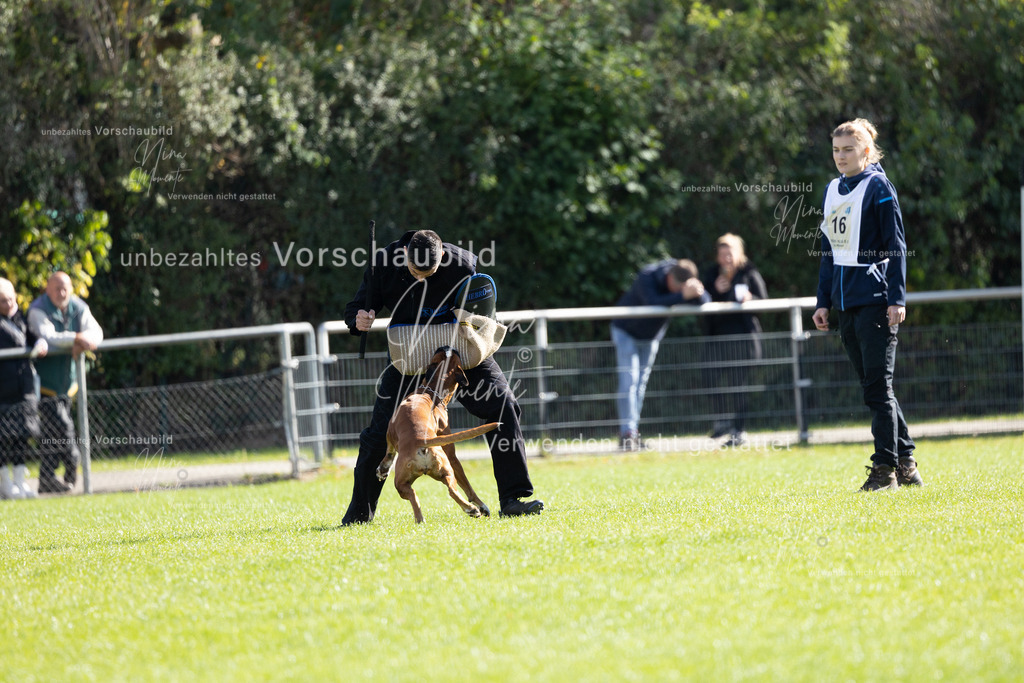 _16A5362 | Einzigartige Fotos von Hunden & Menschen –Actionfotos, Portraits, Vereinsaufnahmen & Paarshootings – authentisch, lebendig & mit Herz.