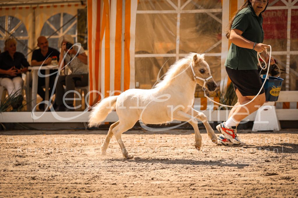 01.DoKR00168 | Leoni Ertmer Photography - Realisiert mit Pictrs.com